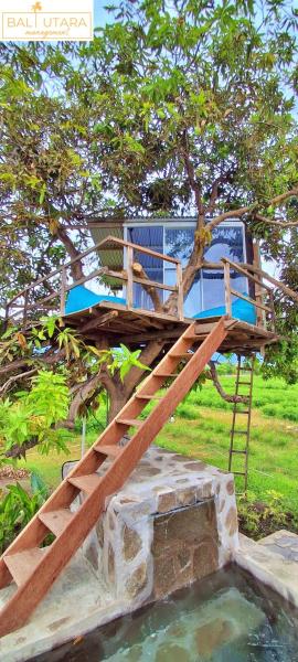 A Mango Tree House with a private swimming pool